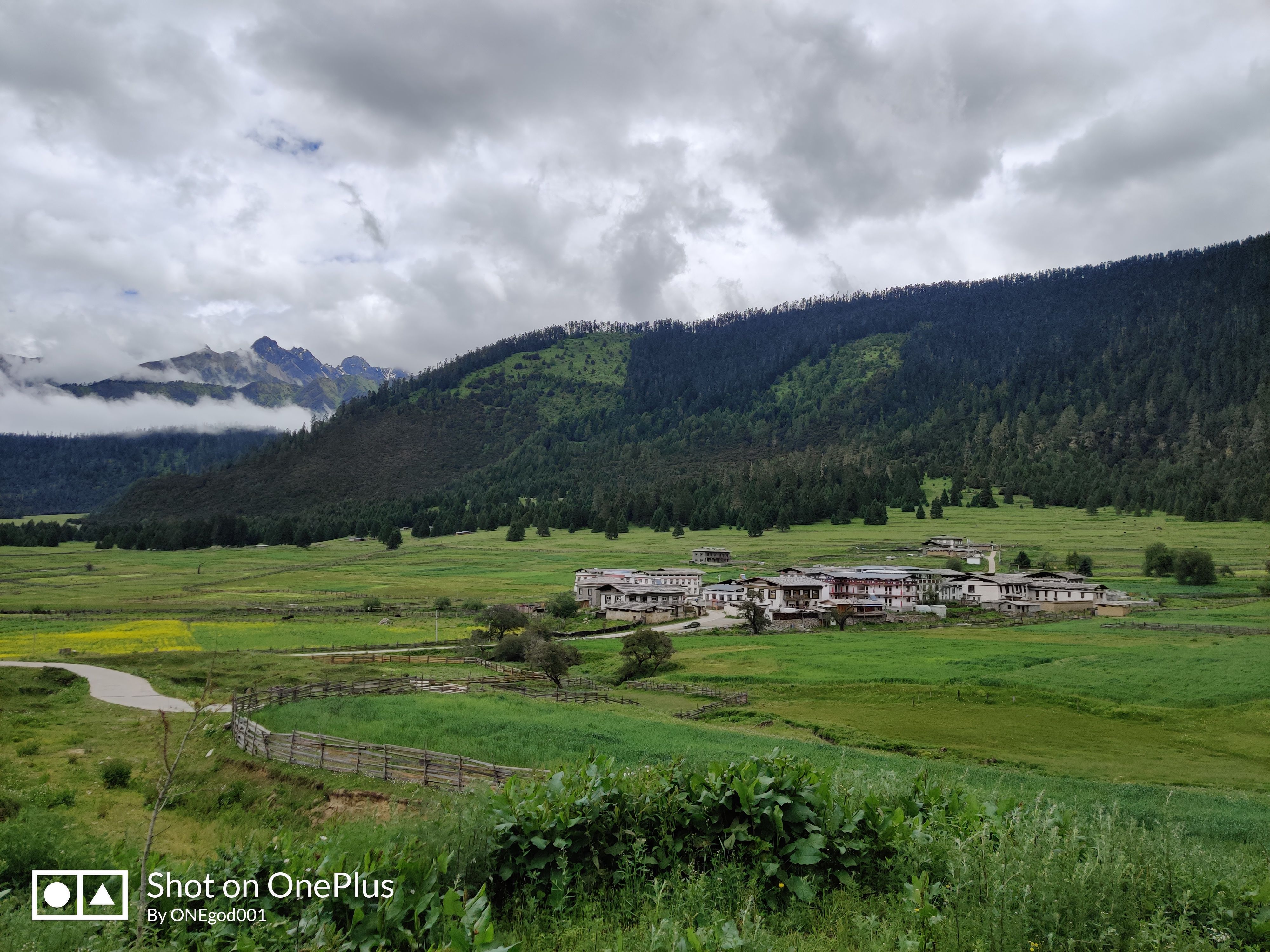 川进青出，十五天三省，318全线，冰川、湖泊、雪山探秘之旅。