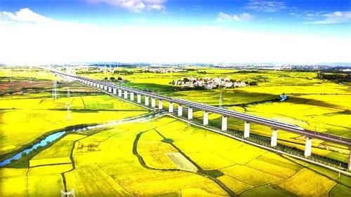  #途径#河南将迎投资546.5亿的新高铁，途径多个城市，有你的家乡