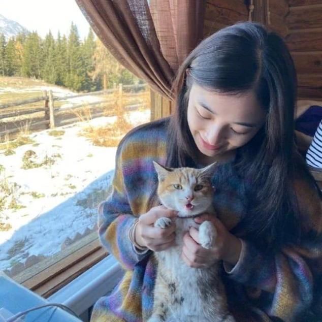 「日子」张含韵回应与彭冠英领证结婚,单身未婚,只想过好自己清净日子