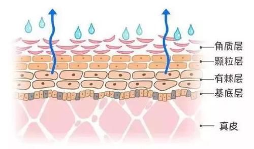  『换季』壹知肤：换季不慌张，关于皮肤屏障那些事你了解多少？