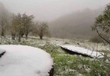 立夏飘雪？“火炉”重庆“名声不保”，市民被迫穿上羽绒服