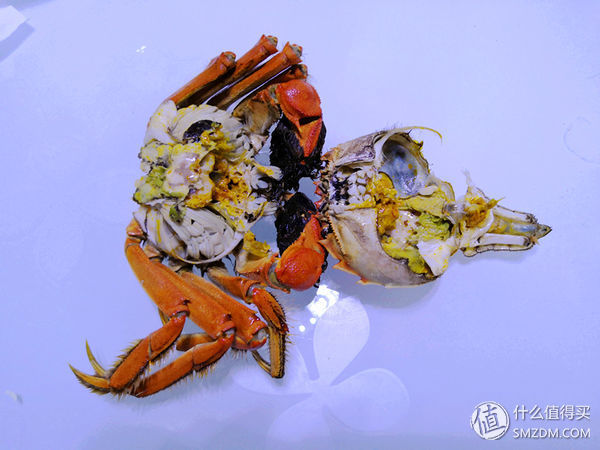 任你天花乱坠，简单一试，我就知道这大闸蟹值不值得吃!
