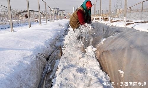 寒潮过后的冬天还冷吗? 专家: 厄尔尼诺80%将至, 农民要早准备