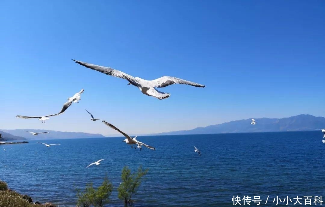 单身女子独自旅行安全吗？看看去过泰国尼泊尔新疆西藏的她怎么说