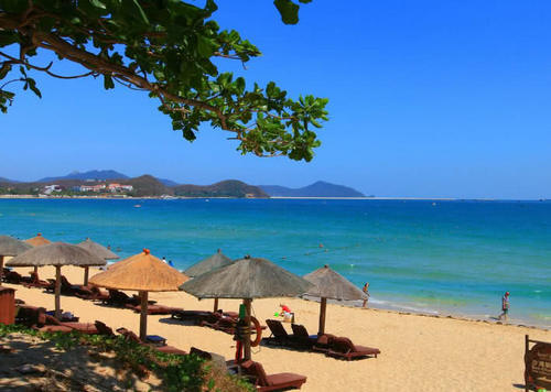 三亚是旅游胜地，为什么猫冬游客越来越少？原因是如此的现实