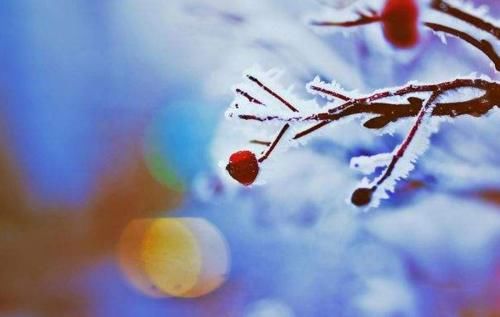  厕所|冬季将至，农村3项改造迎来“大考验”，家家户户都涉及