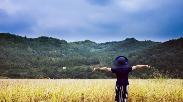  「增产」九种小麦增产技术，赶紧过来学学吧！30年老农民经验分享