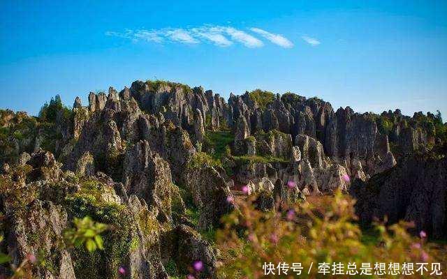 陈情女孩的夏日限定，快来看看《陈情令》的取景地都有哪些吧