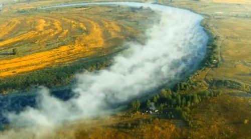 亚马逊雨林有一条神秘的河流，河水常年沸腾，动物掉进去被煮熟！