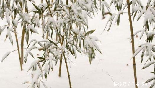  「冬日」雪竹，就是最美的冬日诗词