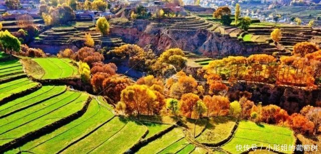 「夜读」初冬,青海大美依旧