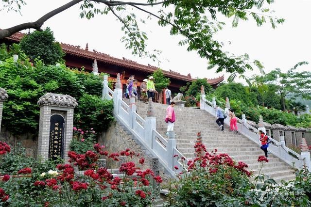 河南最值得去的十大旅游景点:没有门票，吃住都不贵!自驾直达