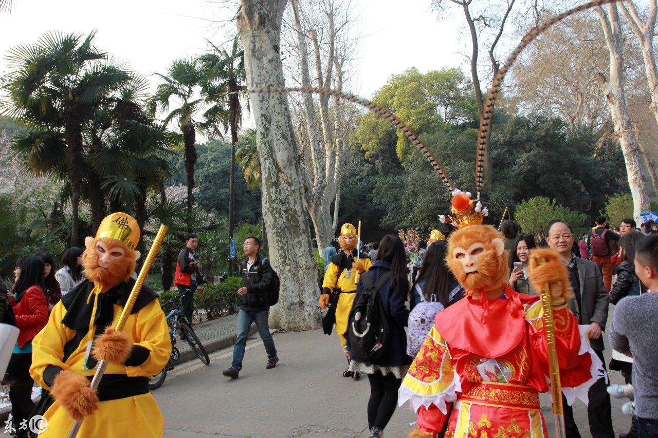武汉大学樱花与游客，还有打扮成孙悟空的形象