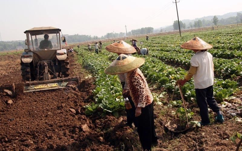 农村土地流转500元一亩，农民仍不愿意，这是为何?老农说出原因