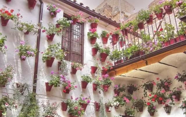 围观欧洲庭院,生活明朗,万物可爱