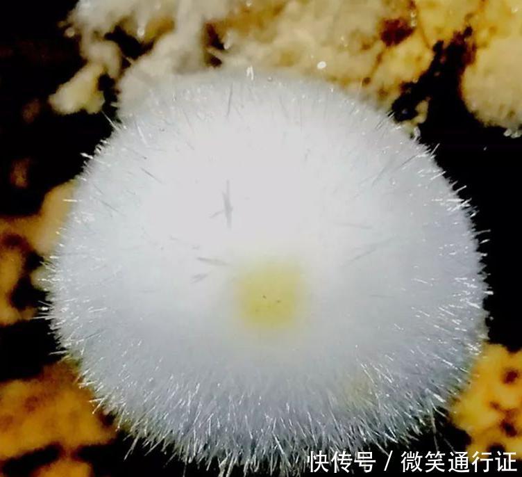 铜仁只有佛教名山梵净山?不,它还有地底“冰雪仙境”晶洞宫