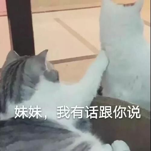  精致@那些总保持着精致的女孩子究竟用了什么好物？