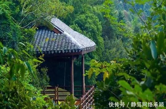 这座低调小城承包了浙江最美的春天, 清明去过两三天乡下生活~