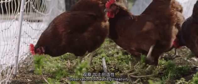  『世外桃源』豆瓣9.2，这「成人」的童话世界太疯狂