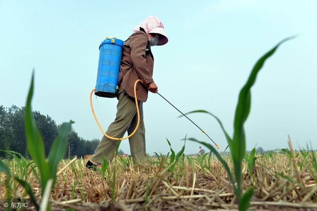 这种除草剂竟会致癌？证实后被罚二十亿，不知有多少人用过！