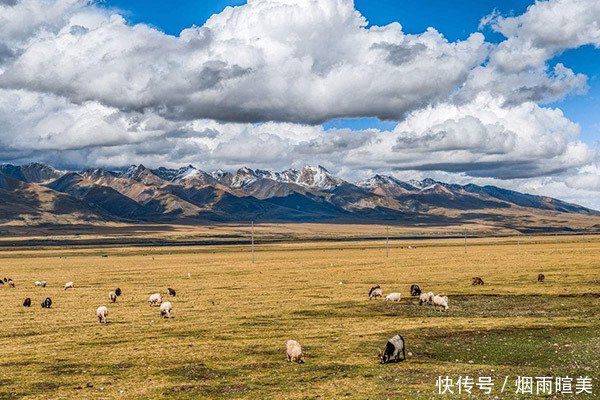 中国这个城市没有一棵树，谁能种活一棵树，立马奖励30万