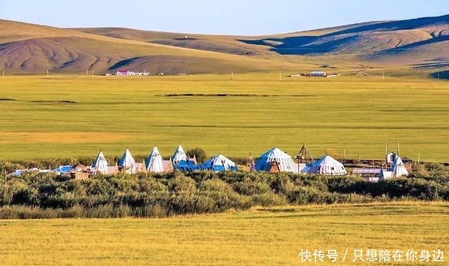 呼伦贝尔的秋天，美的太高级