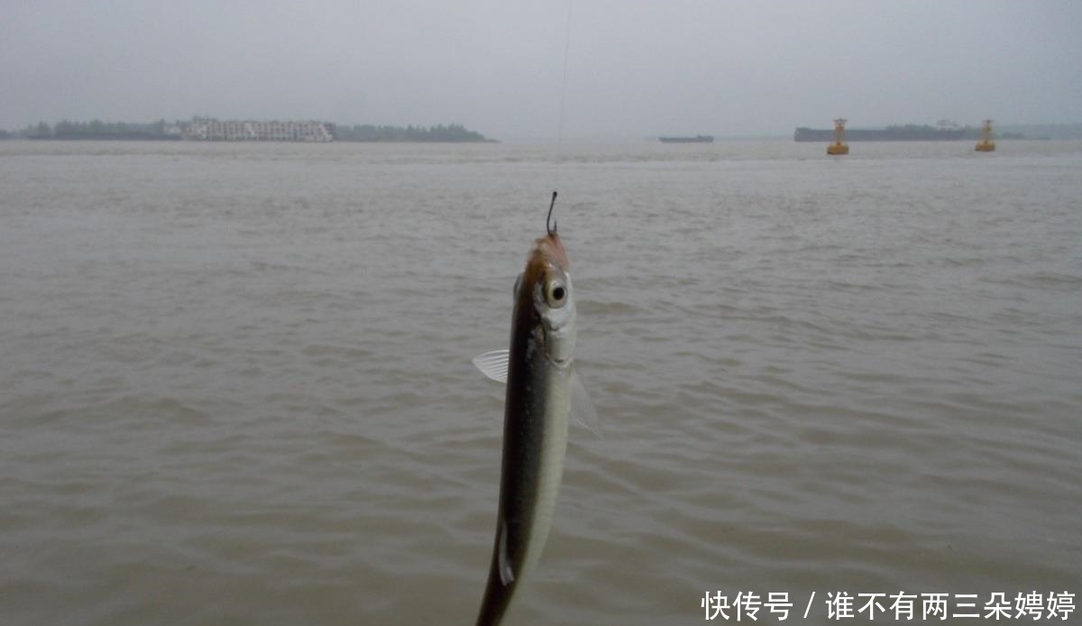 子线|为什么别人钓鱼子线很少缠绕,而你却经常发生?这6个方面是关键