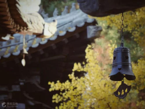 恕我直言，西安这座城市有毒！