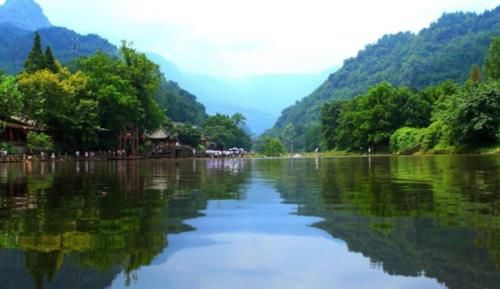 隐藏四川的古镇，有一株不知为何物的奇树，夜晚会变身烟雨柳江