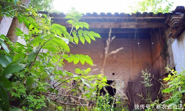 为什么农村很多房子，明明都好好的却没人住？老农总结得很到位