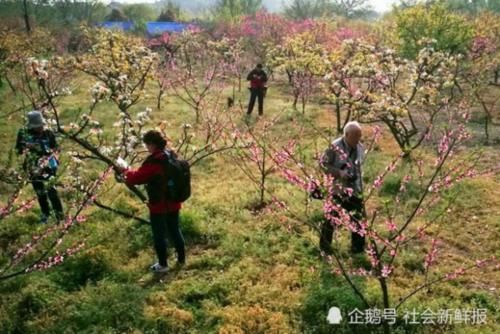 中国适合“养老”的地方，住宿80一天还包三餐？游客：来了就不想