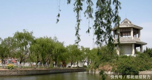 山东2个面积比最小地级市还大的县市