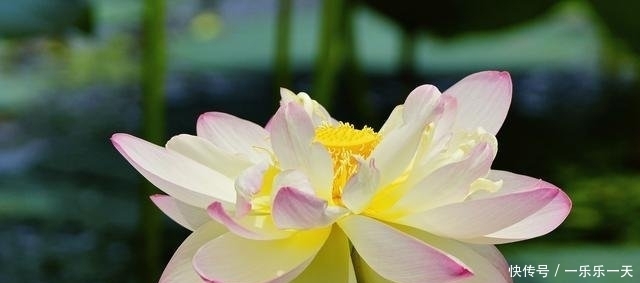  孩子|这，就是人生最大的福气！