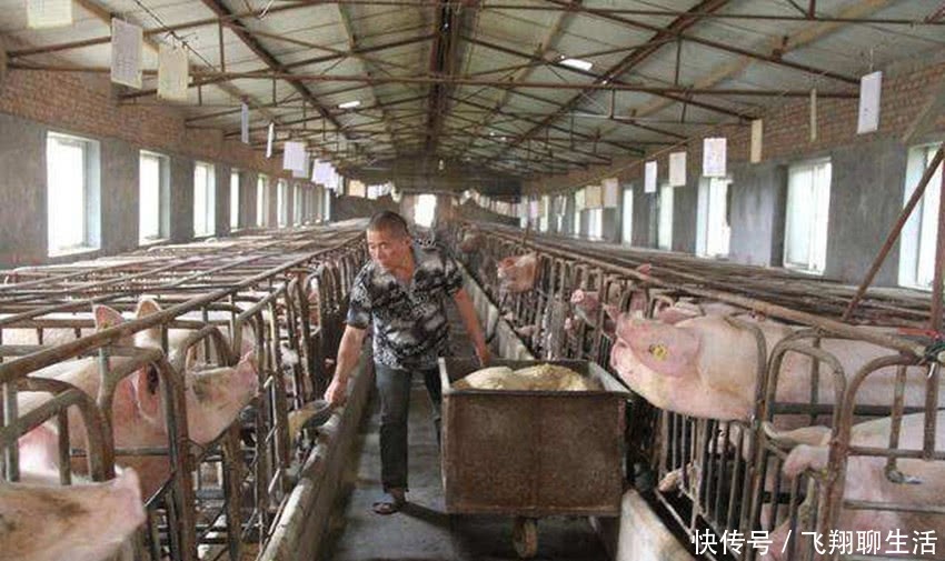  「条件」农村严禁养殖？这3个条件都达标，村干部也不能强制查封