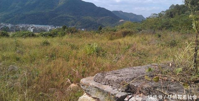  【回村】农村土地荒芜比较普遍，怎样才能使农民自动回村生产粮