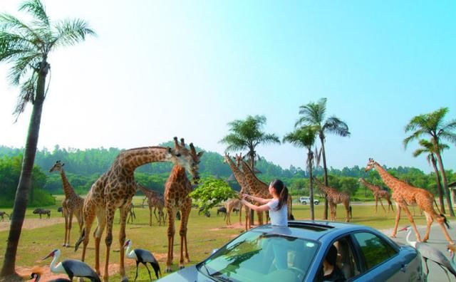 全国最良心的旅游大省，冬天20度，美食超多，因不宰客名扬天下！