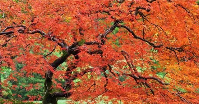  路口@早安心语：放下，是为了更好地前行