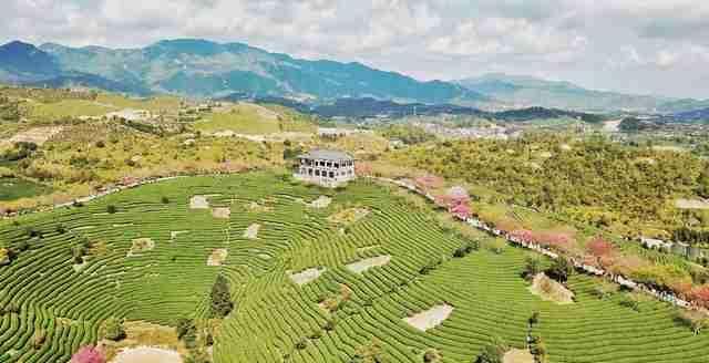  圣地■大陆阿里山，中国最美赏樱圣地，堪比日本樱花，游客慕名而来
