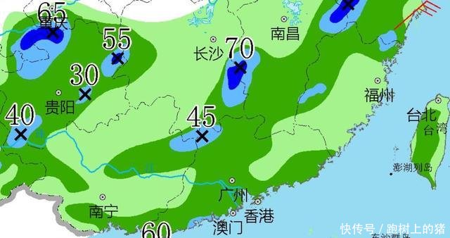  「广西」广东 福建 广西！“杨柳”台风雨确认！中雨大雨暴雨将