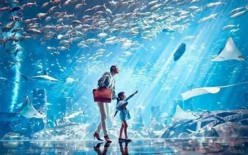  『三亚旅游市』“五一”小长假，三亚旅游多领域人气“霸榜”，背后有啥秘密