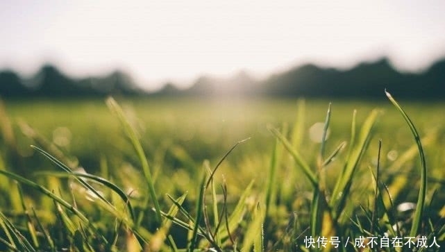 「正确」夏日炎炎,如何正确护肤抗衰老?