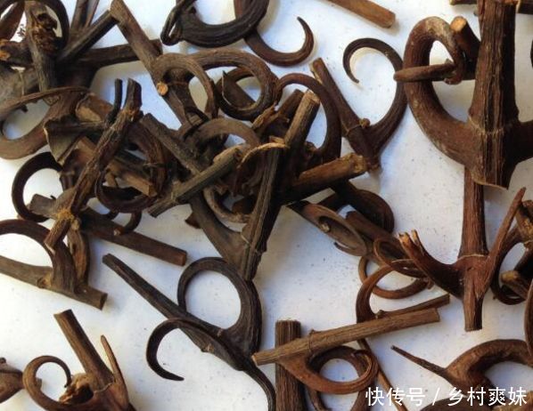 农村一种常见的植物，对小孩子很有好处，全身上下都很值钱