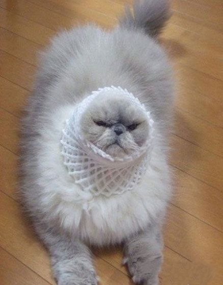 14个令人“哭笑不得”的瞬间，这么“奇葩”的操作我还是头一次见