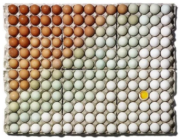 【设计师】物体排列之美，这个摄影师用大量食物堆成建筑，看起来