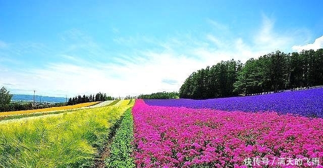 【返乡创业】返乡创业热潮来了，国家大力扶持，这几个项目未来
