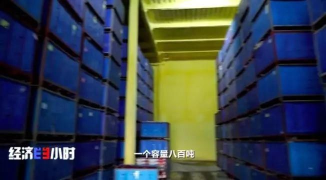  「过山车」这个主产地苹果3毛钱1斤！价格过山车究竟怎么了？