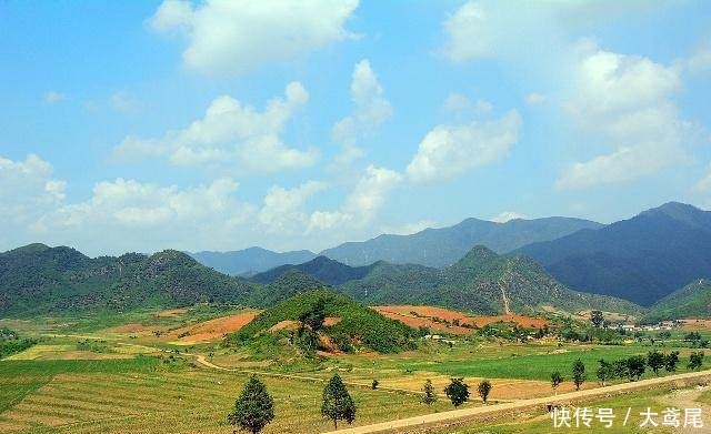 今年，这个证停止办理，没有拿到赶紧找村干部，不然损失几十万！