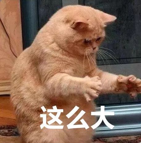 济南发重要预报！雷暴大风+强降雨马上到！局地降水超70毫米！