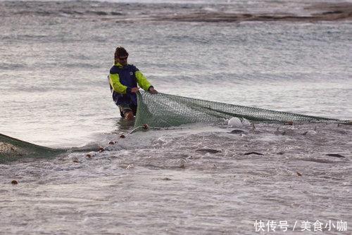 这里的三文鱼泛滥无人吃,渔民贱卖做诱饵,网友