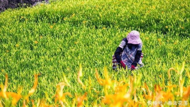  「途径」广西到广东正规划一条高铁, , 途径的6市8县有福了